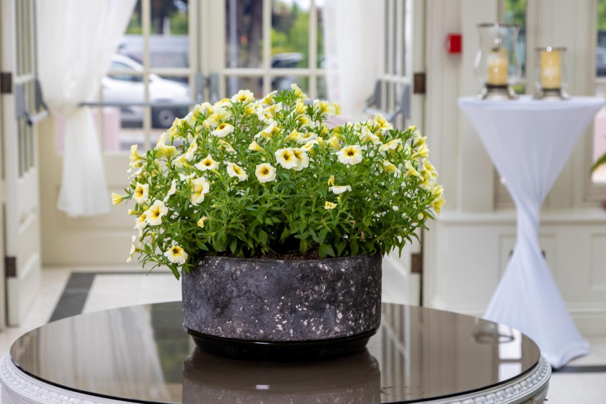 Killarney Heights Hotel Zewnętrze zdjęcie